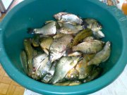 1120062008952.jpg