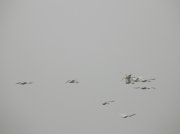 DSCN3447.JPG