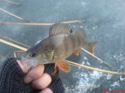 DSC01660.JPG