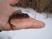 DSC01142.JPG