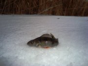 DSC01146.JPG