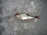 DSC01149.JPG