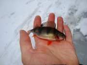 DSC01150.JPG