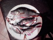 2015114171936.jpg