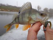 DSC03108.JPG