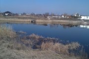 IMAG0295.jpg