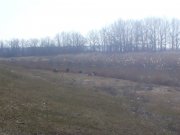 20150309_132704.jpg