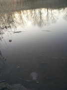 20150309_165942.jpg
