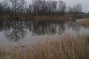 IMAG0300.jpg