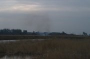 IMAG0308.jpg