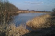 IMAG0357.jpg