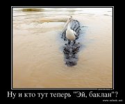 getImage.jpg