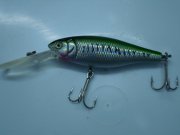 DSC05658.JPG