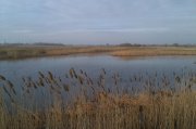IMAG0370.jpg