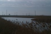 IMAG0371.jpg