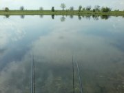 P01-05-15_11.59.jpg