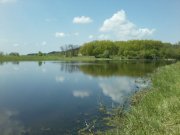 P01-05-15_11.58.jpg