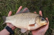 20150426_Fishing_Prylbychi_027.jpg