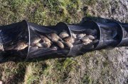 20150428_Fishing_Prylbychi_088.jpg