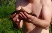 lucky_fish.jpg