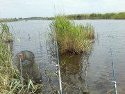 P26-05-15_12.20.jpg