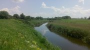 IMG_20150602_124824.jpg