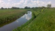 IMG_20150602_124835.jpg