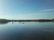 P07-06-15_06.50.jpg