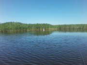 P07-06-15_13.34.jpg