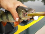20150616_092531.jpg