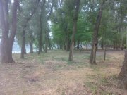 190620151575.jpg