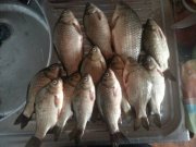 20150627_150924.jpg
