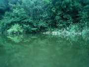 IMG0233A.jpg
