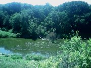 IMG0245A.jpg