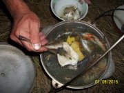 100_9176.JPG