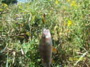 100_9186.JPG