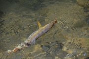 DSC_1082.jpg