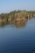 IMAG0459.jpg