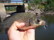 20150819_103131.jpg