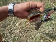 20150819_160304.jpg