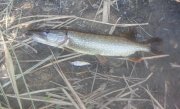 20150824_101413.jpg