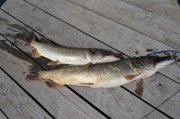 DSC_0684.JPG