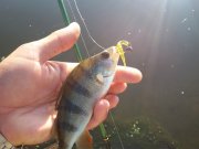 20150828_080437.jpg