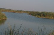 IMAG0482.jpg