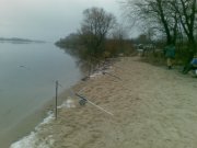 20090128(002).jpg