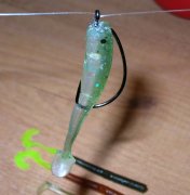 DSCN3618.jpg
