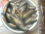 DSC00326.JPG