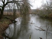 IMG_6143.jpg