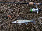 IMG_6150.jpg