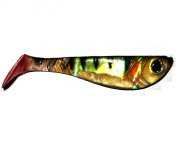 Perch_1.jpg